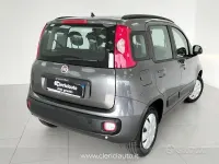 Usata Fiat Panda Lounge 69 CV (50 kW) 2017 Other Utilitaria