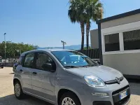 Usata Fiat Panda Easy 69 CV (50 kW) 2019 Grigio Utilitaria
