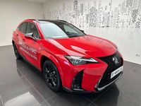 Usata Lexus UX 300h Sport Line 184 CV (135 kW) 2024 Rosso SUV