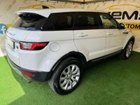 usata Land Rover Range Rover evoque 2.0 TD4 150 CV 5p. Pure usato