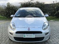 usata Fiat Punto Punto1.2 8V 5 porte Easy