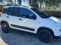 Usata Fiat Panda 4x4 2020 Bianco Utilitaria