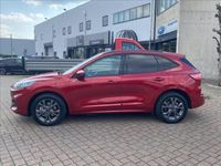 usata Ford Kuga PHEV 2WD ST-Line Automatica