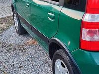 Usata Fiat Panda 4x4 60 CV (44 kW) 2007 Verde Utilitaria