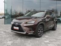 Usata Lexus NX300h Business Edition 155 CV (114 kW) 2018 Marrone SUV