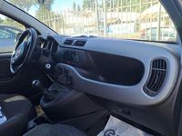 Usata Fiat Panda 4x4 S 95 CV (69 kW) 2017 Grigio Utilitaria