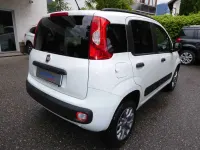 Usata Fiat Panda 4x4 80 CV (58 kW) 2017 Bianco Utilitaria