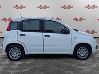 Usata Fiat Panda 69 CV (50 kW) 2024 Bianco Utilitaria