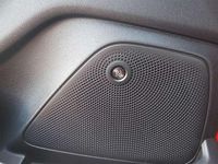 Usata Ford Fiesta Active 86 CV (63 kW) 2019 Rosso Utilitaria