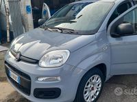 Usata Fiat Panda Easy 69 CV (50 kW) 2021 Grigio Berlina