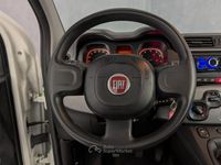 Usata Fiat Panda Cross Cross 94 CV (69 kW) 2023 Bianco Utilitaria