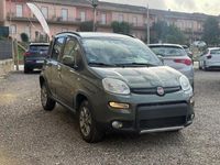Usata Fiat Panda 4x4 S 75 CV (55 kW) 2013 Verde Utilitaria