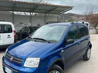 Usata Fiat Panda 4x4 2009 Blu Utilitaria
