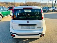 usata Fiat Panda Cross 1.0 FireFly S&S Hybrid City nuovo