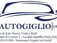 Usata Ford Kuga Business Edition 120 CV (88 kW) 2018 Grigio SUV