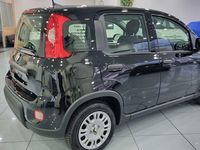 Usata Fiat Panda S 69 CV (50 kW) 2024 Nero Utilitaria