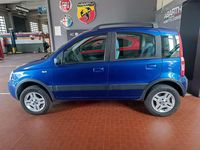Usata Fiat Panda 4x4 Climbing 69 CV (50 kW) 2007 Blu/azzurro Utilitaria