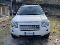 Usata Land Rover Freelander 2 160 CV (117 kW) 2010 SUV