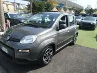 Usata Fiat Panda Cross Cross 70 CV (51 kW) 2021 Grigio Utilitaria