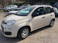 Usata Fiat Panda Easy 69 CV (50 kW) 2017 Beige Utilitaria