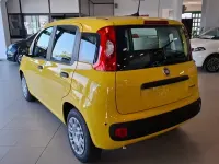 Nuova Fiat Panda S 69 CV (50 kW) 2025 Giallo pastello Utilitaria