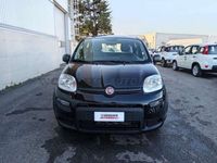 usata Fiat Panda Panda My24 1.0 70cv Hybrid