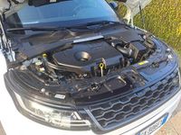 Usata Land Rover Range Rover evoque SE Dynamic 179 CV (131 kW) 2020 SUV