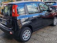 Usata Fiat Panda Easy 69 CV (50 kW) 2020 Nero Utilitaria