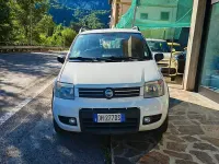Usata Fiat Panda 4x4 60 CV (44 kW) 2007 Utilitaria