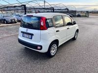 Usata Fiat Panda Easy 69 CV (50 kW) 2020 Bianco Utilitaria