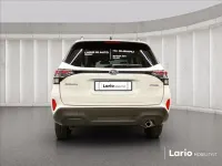 Usata Subaru Forester Style 136 CV (100 kW) 2025 SUV