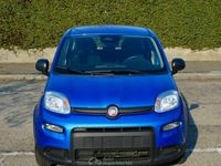 Usata Fiat Panda S 69 CV (50 kW) 2024 Blu Utilitaria