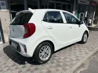 Usata Kia Picanto Urban 67 CV (49 kW) 2024 Bianco Utilitaria