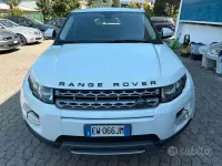 Usata Land Rover Range Rover evoque 150 CV (110 kW) 2014 Bianco SUV