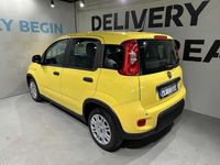 Usata Fiat Panda S 69 CV (50 kW) 2024 Giallo Utilitaria