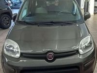 Usata Fiat Panda City Life 69 CV (50 kW) 2022 Grigio Utilitaria