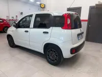 Usata Fiat Panda Easy 80 CV (58 kW) 2016 Bianco Utilitaria