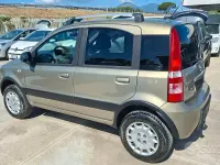 Usata Fiat Panda 4x4 69 CV (50 kW) 2011 Beige Utilitaria