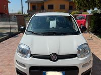 Usata Fiat Panda 69 CV (50 kW) 2021 Utilitaria