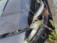 Usata Honda Civic 2008 Nero Berlina