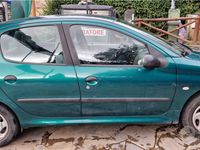 usata Peugeot 206 Roland garros