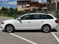 Usata Skoda Octavia Elegance 105 CV (77 kW) 2014 Bianco Station wagon