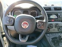 Usata Fiat Panda City Life 70 CV (51 kW) 2022 Bianco Utilitaria
