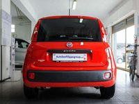 Usata Fiat Panda Lounge 95 CV (69 kW) 2018 Rosso Utilitaria