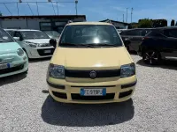 Usata Fiat Panda Dynamic 69 CV (50 kW) 2011 Giallo Utilitaria