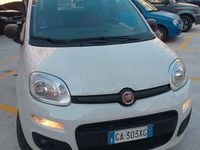 Usata Fiat Panda 84 CV (61 kW) 2020 Bianco Utilitaria