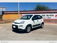 Usata Fiat Panda 70 CV (51 kW) 2022 Bianco Utilitaria