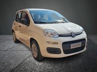 Usata Fiat Panda Easy 70 CV (51 kW) 2021 Bianco Berlina