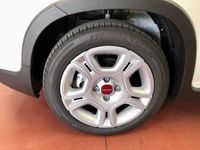 Usata Fiat Panda S 71 CV (52 kW) 2023 Bianco Utilitaria