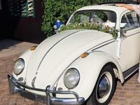 Usata VW Beetle 1960 Utilitaria
